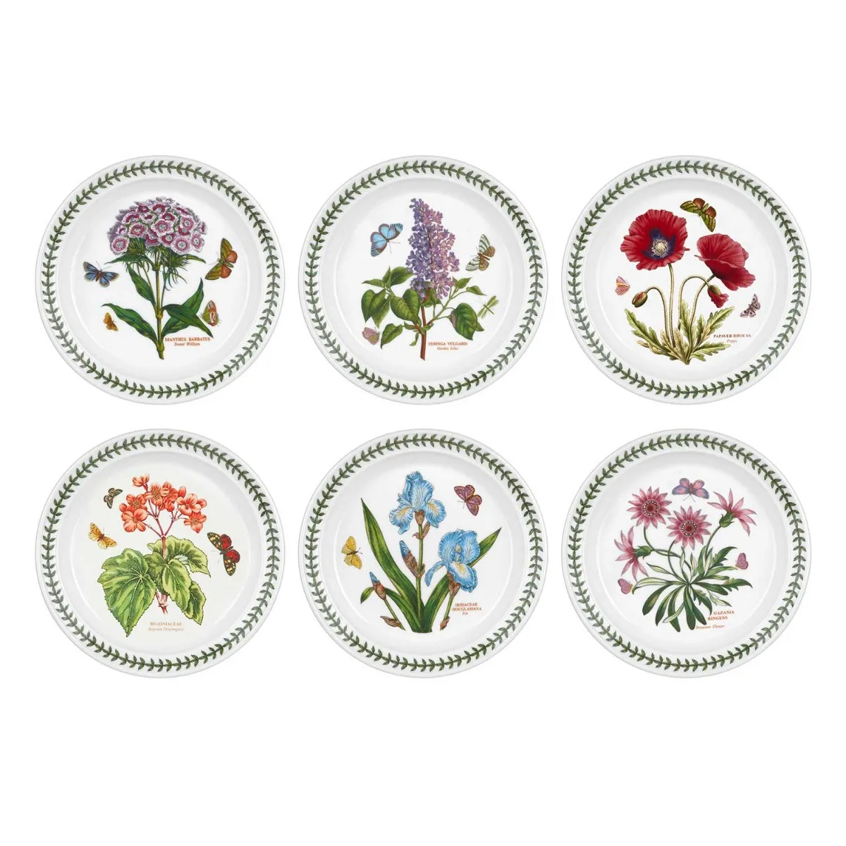 Portmeirion Botanic Garden Plate (Drum Shape) 25cm