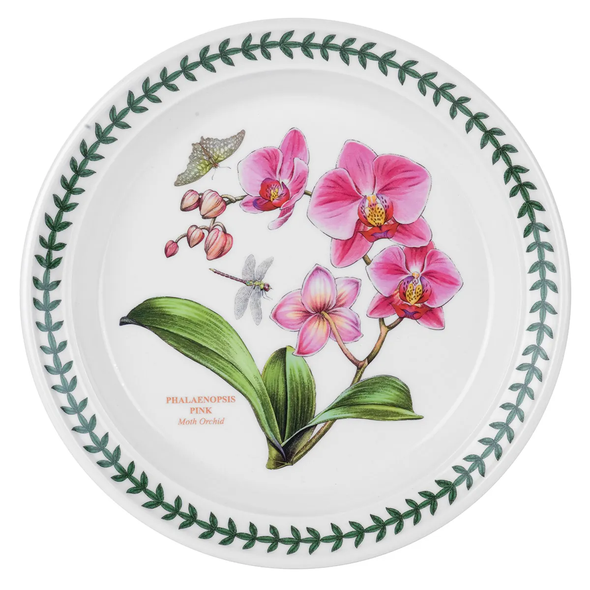Portmeirion Exotic Botanic Garden Side Plate, Set of 6 - Image 6